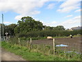 Footpath junction with Oxcroft Lane