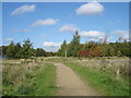 Cycle Route from Newstead to Kirkby-in-Ashfield