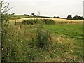 SX8573 : Fields near Teignbridge Gate by Derek Harper