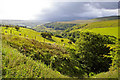 SD9221 : Ramsden Clough by Phil Champion