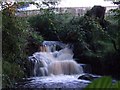 Waterfall at Everton Road