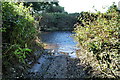 Ford Across River Wyre