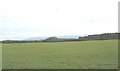 View across pastureland towards the Cerrig Engan outcrop