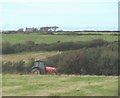 Hay making at Ysgubor Fawr