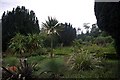 Palm trees amongst well maintained beds