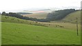 Grazing, Middletoun