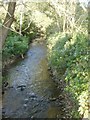 Smestow Brook View