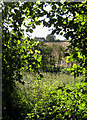 Across  Llanerch Brook