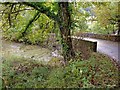 Bridge over Afon Ceri: Dol-g?ch