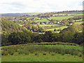 Rough pasture : Pant-y-bwla, Betws Ifan