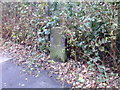 Boundary Stone