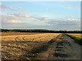 Remains of runway, Rougham Airfield