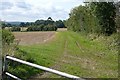 Towards Cathanger Wood