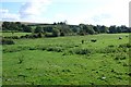 Cerne Valley