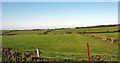 View northwards across farmland towards Cae Gwyn Farm