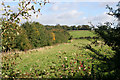 Fields above Knipton Reservoir