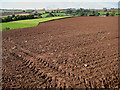 Arable and pasture towards Trereece