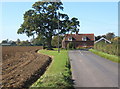 Lane from Onehouse approaching Harleston