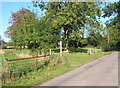 Start of footpath to Shelland