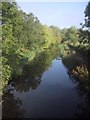 Grand Western Canal from Batten