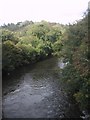 River Torridge above Great Torrington