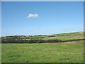 View West across farmland towards the village of Bryngwran