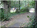 Boscombe: path through Shelley Park